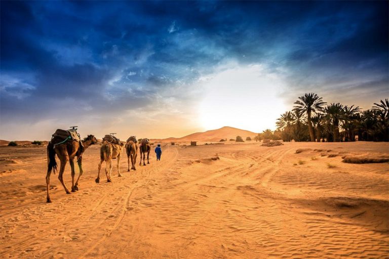 Diálogos: Os milagres acontecem no deserto