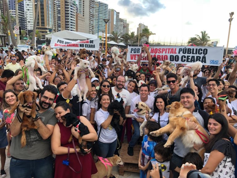 Fortaleza recebe a 5° edição da Cãomiada em luta pelos direitos dos animais