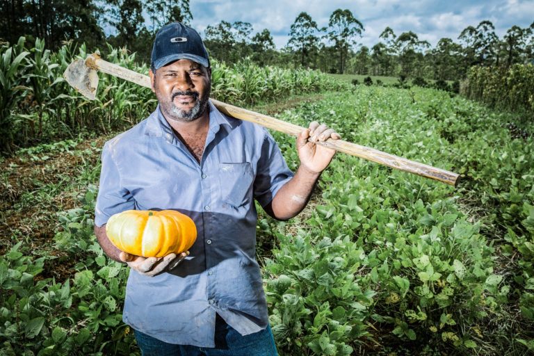 Mesmo com boa quadra chuvosa alimentos tem alta de 114% em supermercados do Ceará