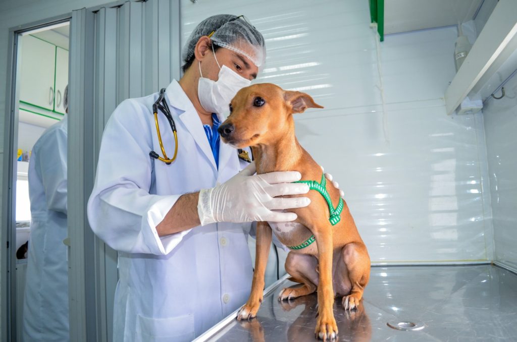 E0F7E374 F233 4E54 A0CE E476FF44EFDF