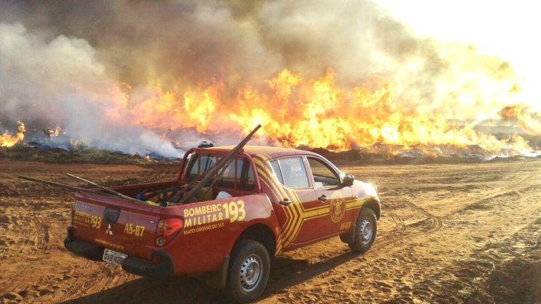Queimadas no Brasil atingem pior índice em 7 anos e viram assunto mais comentado nas redes