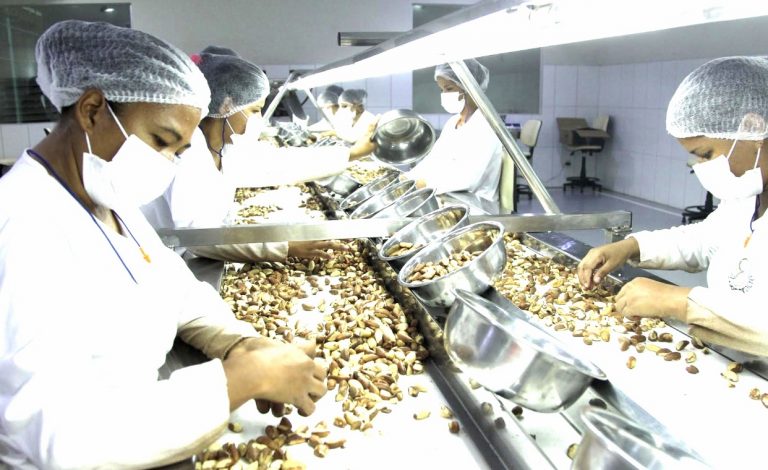 Com aporte de 20 milhões, Pacajus contará com agroindústria produtiva da cajucultura