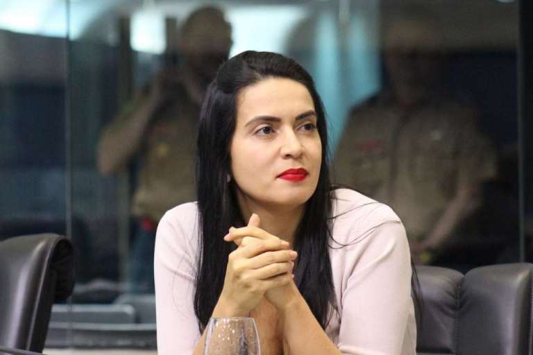 Deputada solicita ao governador distribuição de cestas básicas  para carentes durante surto do coronavírus