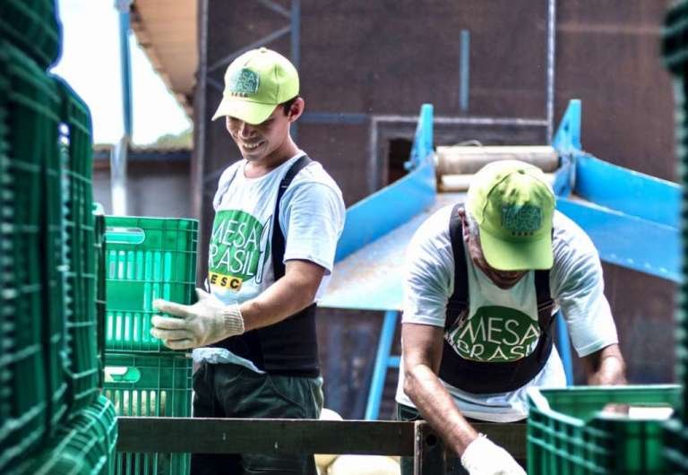 ‘Mesa Brasil Sesc’ arrecada mais de 100 toneladas de alimentos durante pandemia