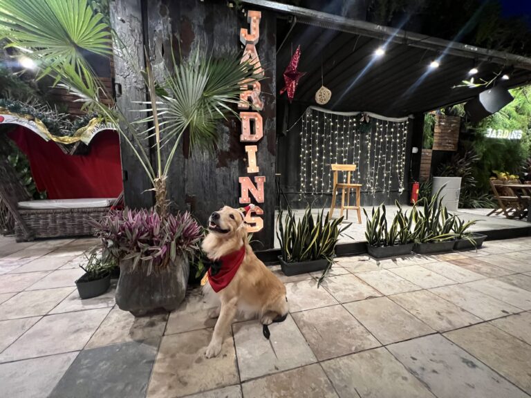 Jardins Lounge Bar se transforma em um ambiente esplêndido com decoração natalina sustentável e promete uma experiência gastronômica fascinante no dia 24 de dezembro