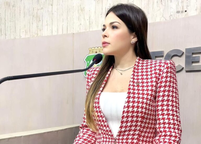 Proposta quer garantir licença-maternidade ampliada para mães atípicas no Ceará