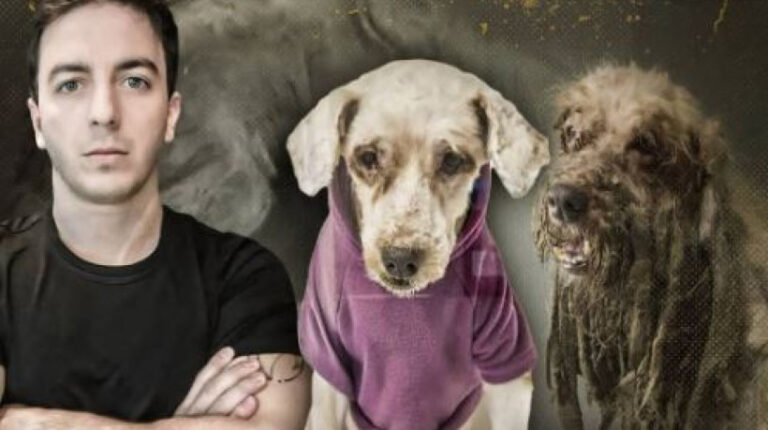 Sem acordo em caso de maus-tratos a Scooby